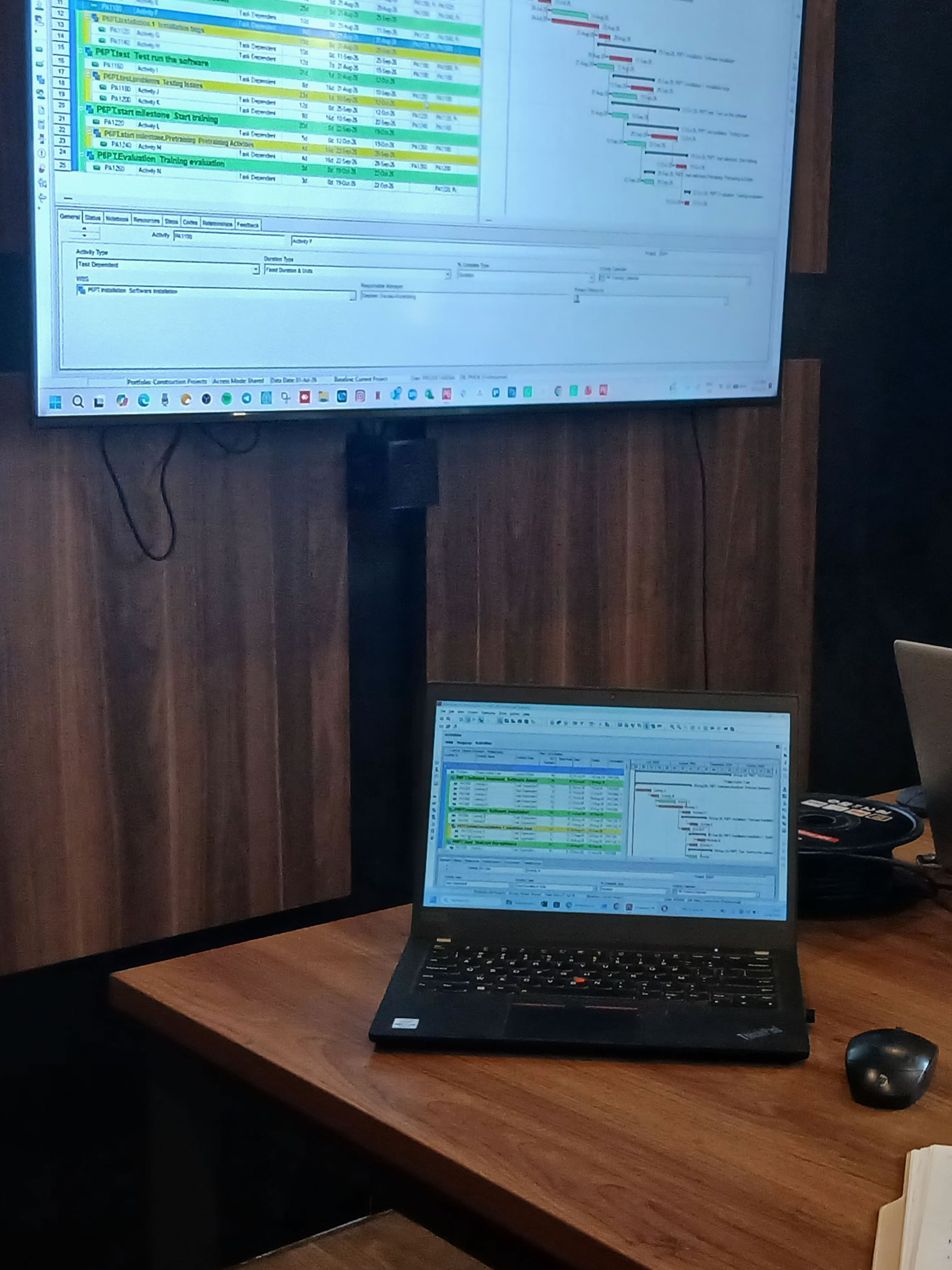 Primavera P6 Schedule on Screen